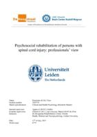 Psychosocial rehabilitation of persons with spinal cord injury: professionals’ view