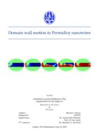 Domain wall motion in Permalloy nanowires