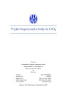 Triplet Superconductivity in CrO2