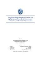 Engineering Magnetic Domain Walls in Magnetic Nanowires