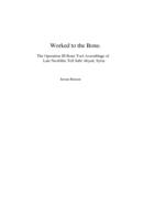 Worked to the Bone. The Operation III Bone Tool Assemblage of Late Neolithic Tell Sabi Abyad, Syria.
