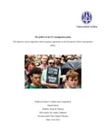 The politics of the EU immigration policy - The influence of pro-migration interest groups arguments on the European Union's immigration policy