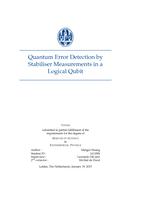 Quantum Error Detection by Stabiliser Measurements in a Logical Qubit