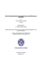 The EU-Turkey Refugee Deal and its Assumption of Turkey of a Safe Third Country: A Legal Analysis