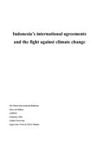 Indonesia's international agreements and the fight against climate change