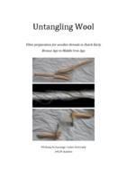 Untangling Wool: Fibre preparation for woollen threads in Dutch Early  Bronze Age to Middle Iron Age