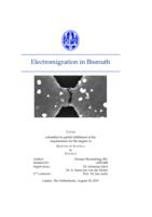 Electromigration in Bismuth