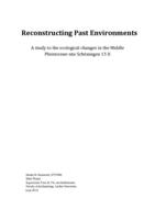 Reconstructing Past Environments: A study to the ecological changes in the Middle Pleistocene site Schöningen 13 II