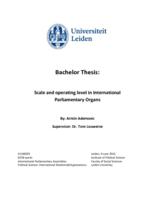Scale and operating level in International Parliamentary Organs