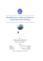 Quantification of discrete states in chromatin fiber folding