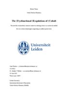 The (D)ysfunctional (R)egulations of (C)obalt: the need for transnational resource control in utilising critical raw materials needed for low-carbon technologies originating from conflict-prone states