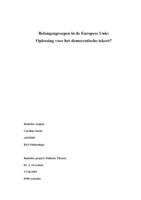 Belangengroepen in de Europese Unie: Oplossing voor het democratische tekort?