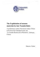 The Exploitation of osseous materials by late Neanderthals: A preliminary techno-functional study of bone tools from the Châtelperronian site 'La Grande-Roche-de-la-Plematrie’, Quinçay, France