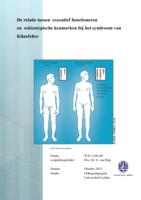 De relatie tussen het executief functioneren en schizotypische kenmerken bij het syndroom van Klinefelter