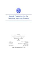 Sample Production for the Graphene Nanogap Junction