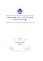 Bioluminescence at the KM3NeT neutrino telescope