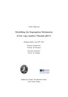 Modelling the Segregation Mechanism of low copy number Plasmid pB171