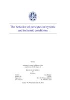 The behavior of pericytes in hypoxic and ischemic conditions