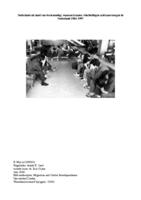 Nederland als land van bestemming: waarom Iraanse vluchtelingen asiel aanvroegen in Nederland 1981-1997