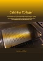 Catching collagen: A comparative test of destructive ZooMS sampling protocols against the non-destructive electrostatic membrane box sampling protocol using Châtelperronian and Mesolithic bone tools