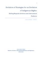 Evolution of Strategies for an Evolution of Indigenous Rights: Shifting Mapuche Activism onto International Platforms