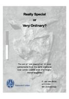 Really Special or Very Ordinary? The act of 'odd deposition' in rural settlements from the early medieval Low Lands coastal area and Anglo-Saxon England