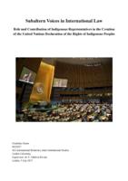 Subaltern Voices in International Law. Role and Contribution of Indigenous Representatives in the Creation of the United Nations Declaration of the Rights of Indigenous Peoples