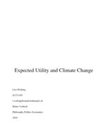 Expected Utility Theory and Climate Change