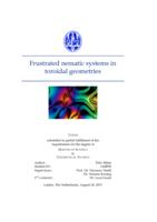 Frustrated nematic systems in toroidal geometries
