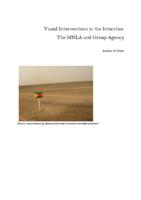 Visual Interventions in the Interstice: The MNLA and Group Agency