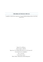 The Risks of Feeling Special: A qualitative study into the experiences of women in high leadership positions in the Dutch Armed Forces