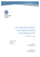The Visegrad Group: Building Common Positions in CFSP