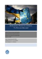EU Democracy Promotion in Ukraine: 'The Privileged Neighbor'