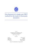 Development of a single pair FRET method for the study of chromatin dynamics