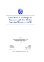 Simulations of Tracking Gold Nanorods with Two-Photon Scanning Microscopy in 3D