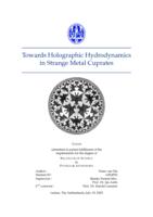 Towards Holographic Hydrodynamics in Strange Metal Cuprates