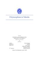 Polymorphism in Tubulin