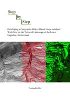 Step by Step: Developing a Geographic Object-Based Image Analysis Workflow for the Terraced Landscape of the Lower Engadine, Switzerland