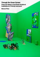 Through the Green Screen: Place and Space in the Photo-Sculptural Installations of Felicity Hammond