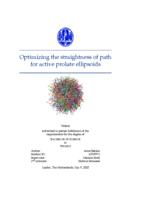 Optimizing the straightness of path for active prolate ellipsoids