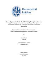 Human Rights in the Void - The UN Guiding Principles on Business and Human Rights in the Context of Instability, Conflict and Repression