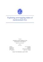 Exploring unwrapping states of nucleosomal DNA