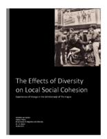 The Effects of Diversity on Local Social Cohesion