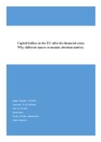 Capital buffers in the EU after the financial crisis