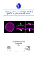 Wrapping pathways of anisotropic dumbbell particles by giant unilamellar vesicles