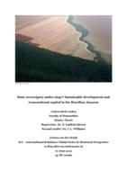 State sovereignty under siege? Sustainable development and transnational capital in the Brazilian Amazon