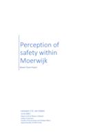 Perception of safety within Moerwijk