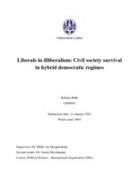 Liberals in illiberalism: Civil society survival in hybrid democratic regimes