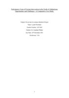 Participatory Form of Foreign Intervention in the North of Afghanistan: Opportunities and Challenges - A Comparative Case Study.