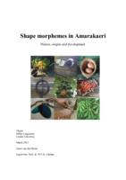 Shape morphemes in Amarakaeri: nature, origins and development